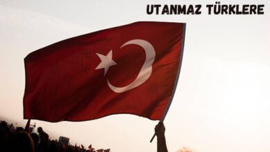 Utanmaz Türklere