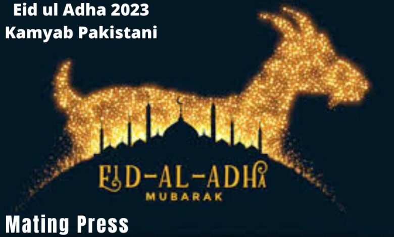 Eid ul Adha 2023 Kamyab Pakistani