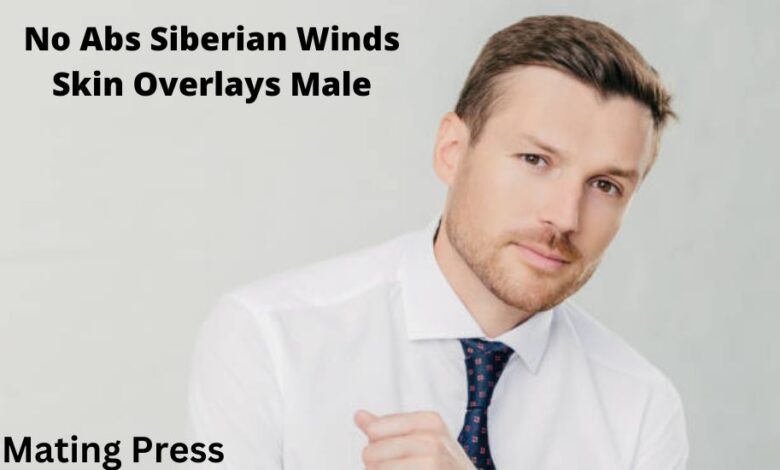 No Abs Siberian Winds Skin Overlays Male