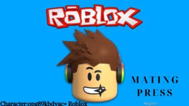 Character:opg89kbdvac= Roblox