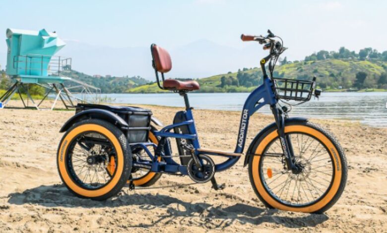 Suspension Electric Trike