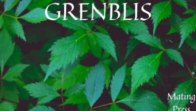 grenblisgrenblis