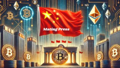 https://finanzasdomesticas.com/china-prohibe-las-criptomonedas/