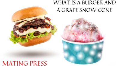 what is a burger and a grape snow cone