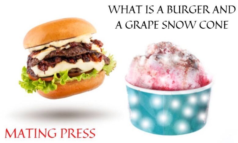 what is a burger and a grape snow cone