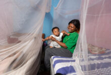 Mosquito Net