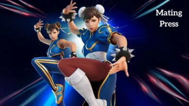 Chun Li Fortnite