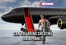 Can You Bring Creatine on a Plane