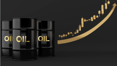 Risk Management in Oil