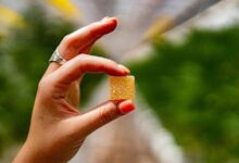 Cannabis Edibles