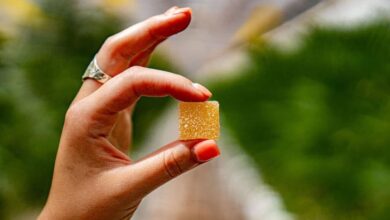 Cannabis Edibles