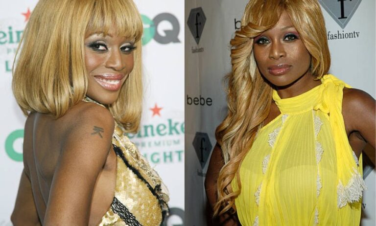 Coco Johnsen Model, Designer & Relationship with Bill Maher