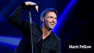 Marti Pellow Net Worth