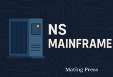 NS Mainframe