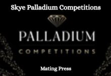 Palladium Competitions