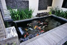 Healthy Pond