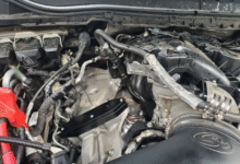 DPF delete