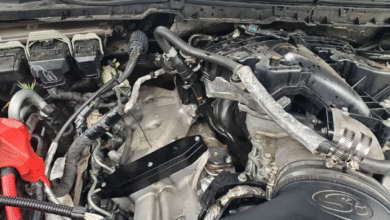 DPF delete