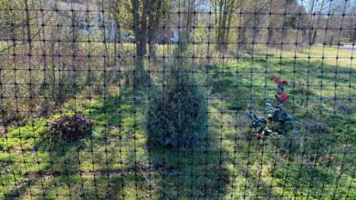 Great Animal Fence