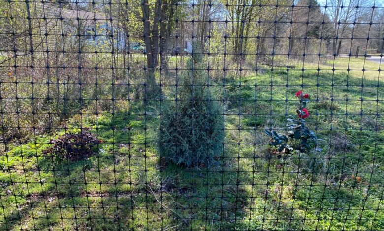 Great Animal Fence