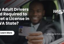 adult drivers ed WA