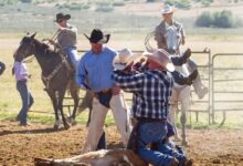 How to Choose the Right Custom Bull Riding Chaps