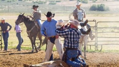 How to Choose the Right Custom Bull Riding Chaps