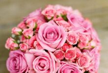 Art of Gifting