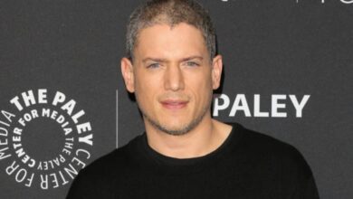 Wentworth Miller Net Worth