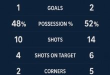 Pro Match Statistics